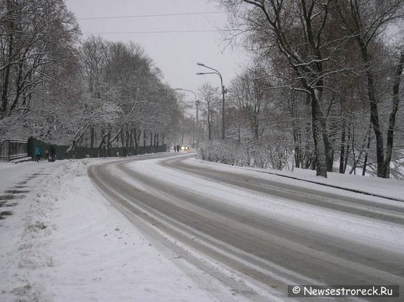 Сестроорецк завалило снегом.