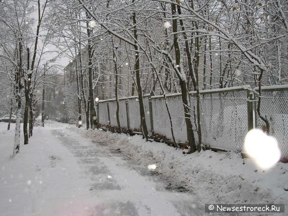 Сестроорецк завалило снегом.