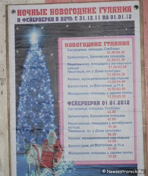 Ночные новогодние гуляния в Сестрорецке - 2012