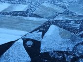 На Финском заливе лед нарастает, но пока опасен