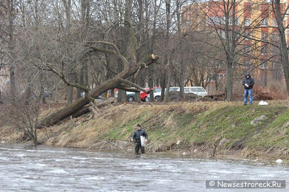 Весенний окунь "пошел" в Шипучку