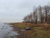 Центр ЭКОМ раскритиковал проект добычи песка со дна Финского залива