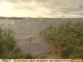 Кислотные дожди стали причиной массового отравления рыбы в Сестрорецке