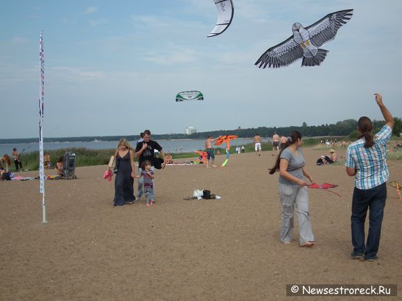 В Сестрорецке прошел фестиваль воздушных змеев «Слет»