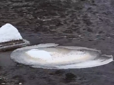 Ледяной круг на воде - редчайшее природное явление в Сестрорецке