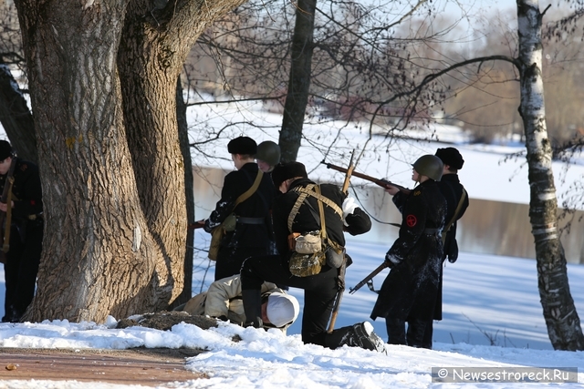 В Сестрорецке отметили День моряка-подводника 2014