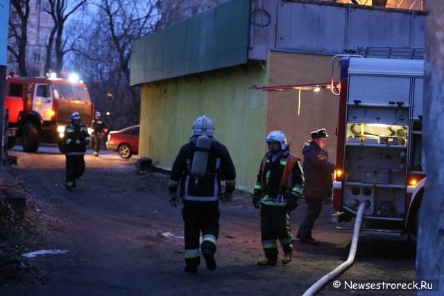 В Сестрорецке горела баня