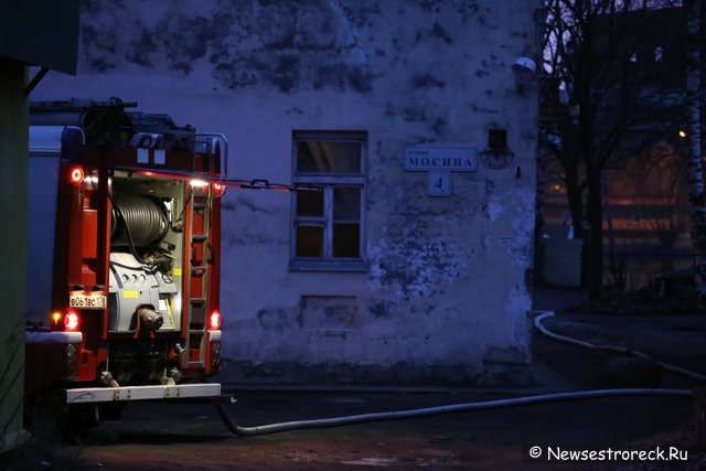 В Сестрорецке горела баня В Сестрорецке горела баня