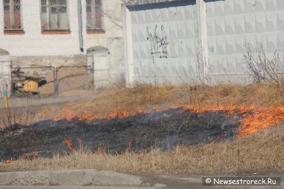 На наб.реки Сестры, д.16 произошло возгорание сухой травы