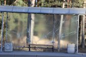 Житель Псковской области разбил 15 остановок в пригороде Петербурга