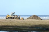 Дан старт уборке городских пляжей Курортного района