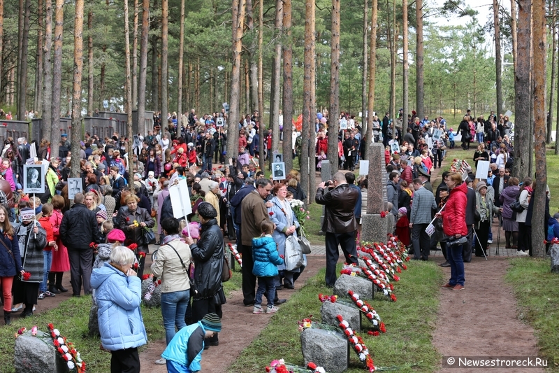 День победы в Сестрорецке 9 мая 2014