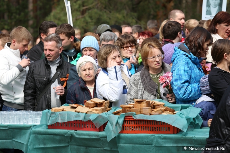 День победы в Сестрорецке 9 мая 2014