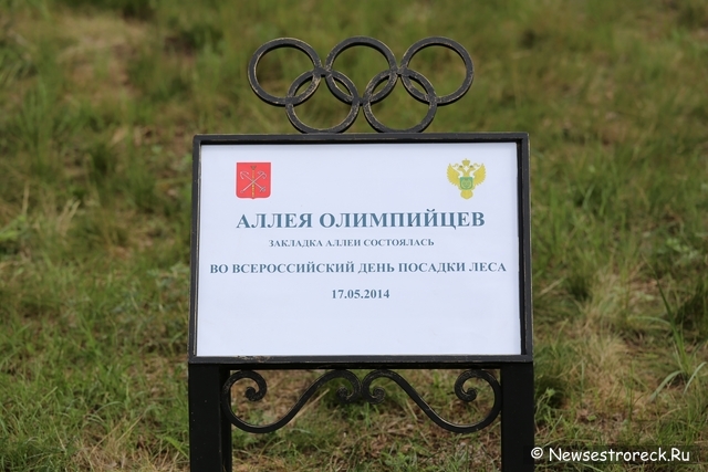 30 дубов в честь 300-летия Сестрорецка 30 дубов в честь 300-летия Сестрорецка