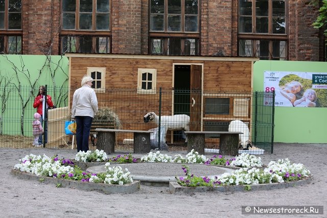 В Сестрорецке состоялось открытие «Петровского арсенала»