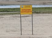 Роспотребнадзор: на петербургских пляжах купаться нельзя