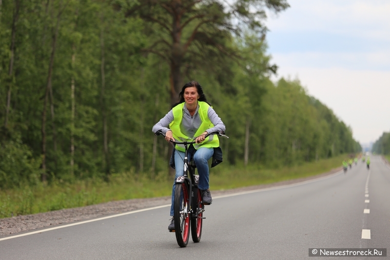 В Сестрорецке состоялся велопробег «Библиотекари в движении»