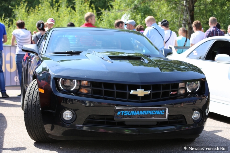 Tsunami Picnic 2014 Tsunami Picnic 2014