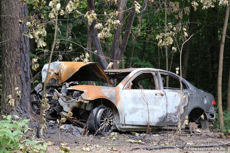 В Курорте у переезда стоит сгоревшая Honda Accord В Курорте у переезда стоит сгоревшая Honda Accord