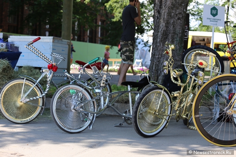 В Сестрорецке состоялся фестиваль «За велогород» В Сестрорецке состоялся фестиваль «За велогород»