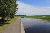 Заказники «Юнтоловский», «Сестрорецкое болото» и «Комаровский берег» очистят от мусора