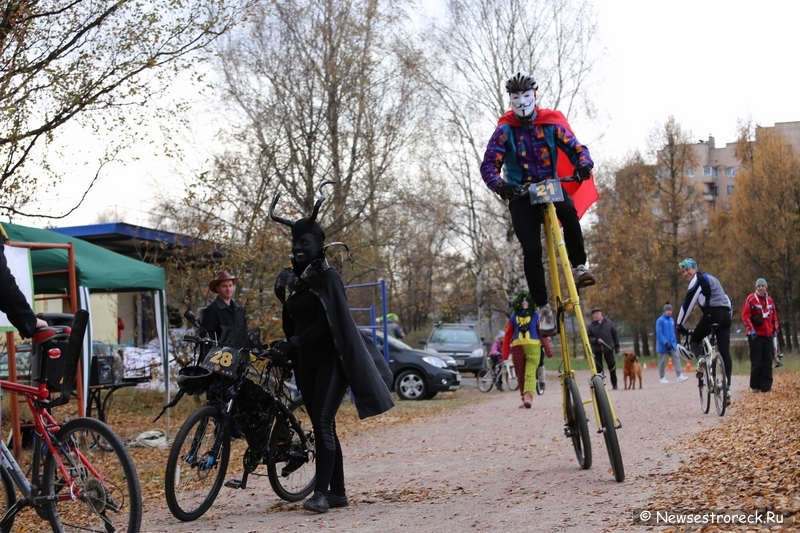 «Тыква Рейс 2014» прошел в Сестрорецке