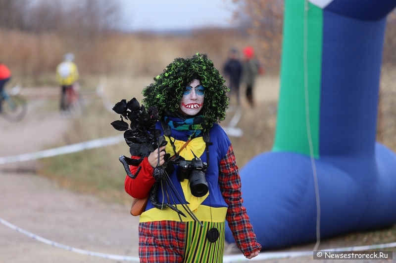 «Тыква Рейс 2014» прошел в Сестрорецке «Тыква Рейс 2014» прошел в Сестрорецке