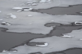 Первый неподвижный лед в Финском заливе зафиксирован под Сестрорецком