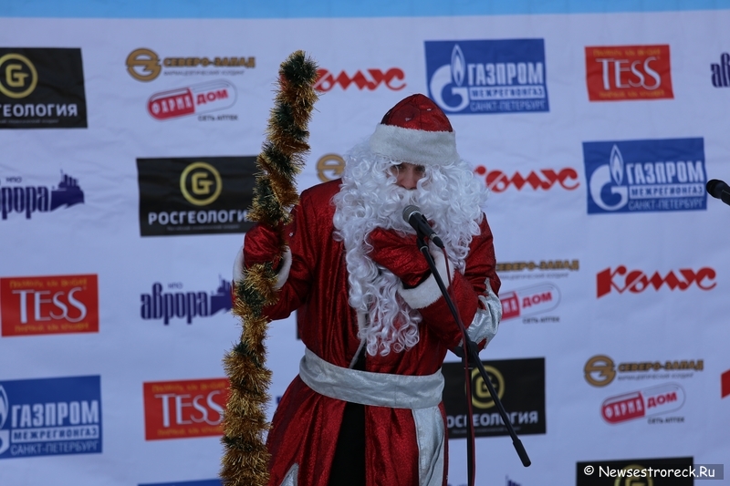 В Сестрорецке состоялся турнир по волейболу на снегу «Snow Volley Christmas-2015»