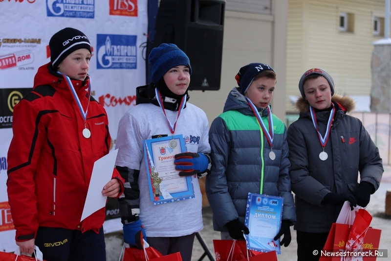 В Сестрорецке состоялся турнир по волейболу на снегу «Snow Volley Christmas-2015»