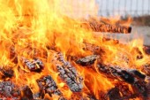 Крупный пожар ликвидирован в Сестрорецке