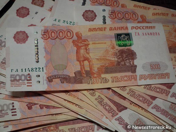 У пожилого жителя Сестрорецка украли более 1 млн.рублей