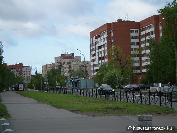 Весной в Курортном районе будет посажено 1030 деревьев и 13 тысяч кустарников