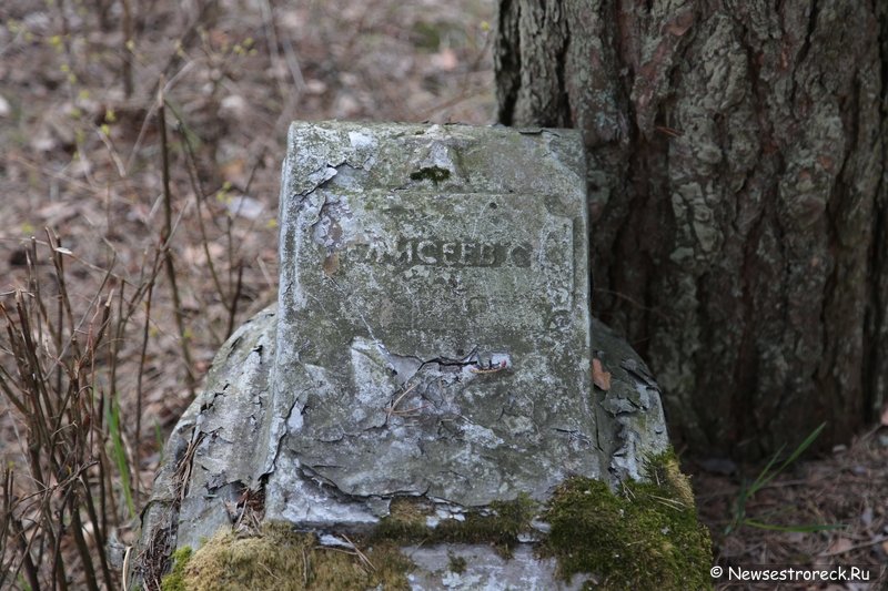 Могилы погибших на воскреснике 1-го августа 1920 года