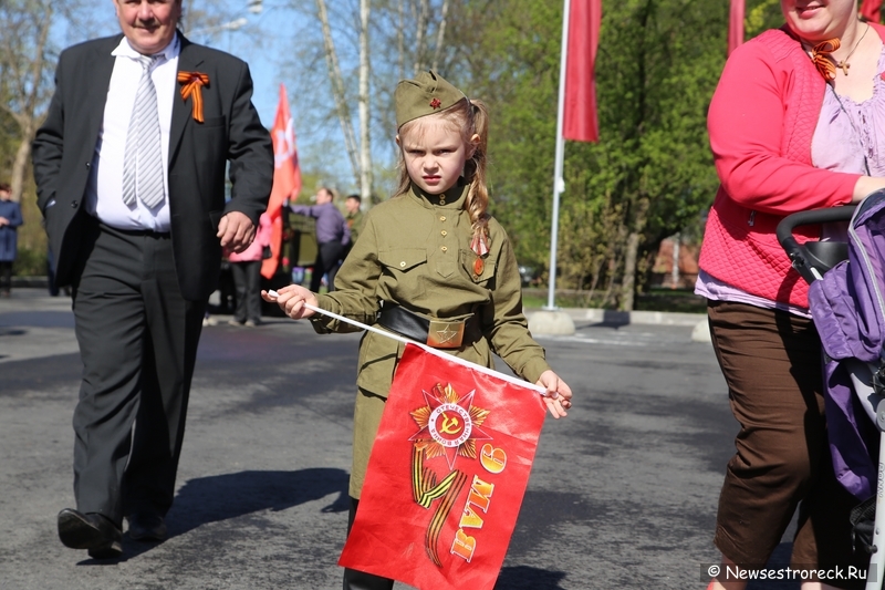 Как прошел праздник 9 мая 2015 в Сестрорецке Как прошел праздник 9 мая 2015 в Сестрорецке