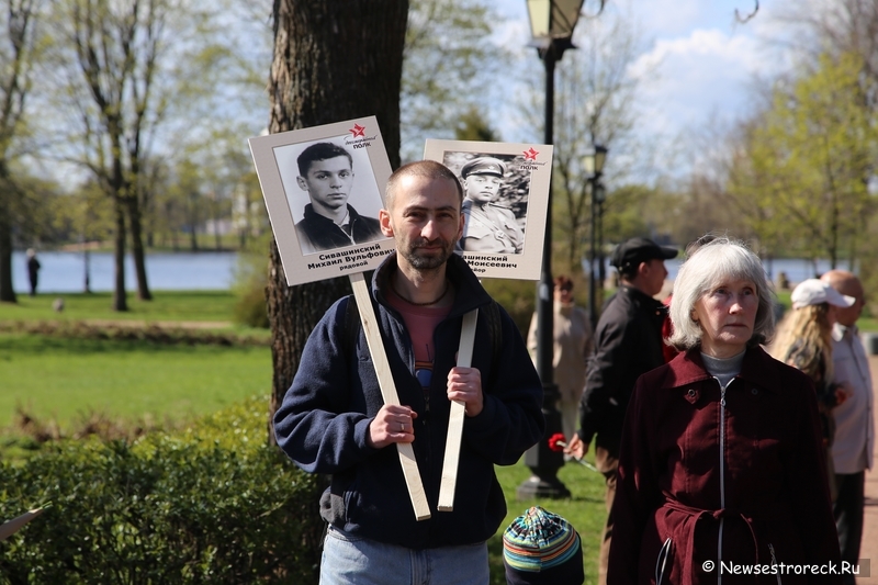 Как прошел праздник 9 мая 2015 в Сестрорецке Как прошел праздник 9 мая 2015 в Сестрорецке