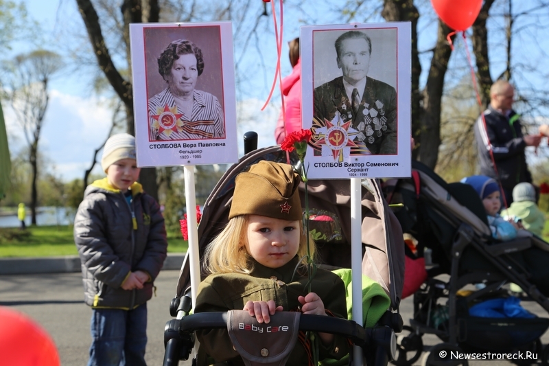 Как прошел праздник 9 мая 2015 в Сестрорецке Как прошел праздник 9 мая 2015 в Сестрорецке