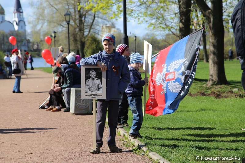 Как прошел праздник 9 мая 2015 в Сестрорецке