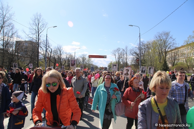 Как прошел праздник 9 мая 2015 в Сестрорецке Как прошел праздник 9 мая 2015 в Сестрорецке