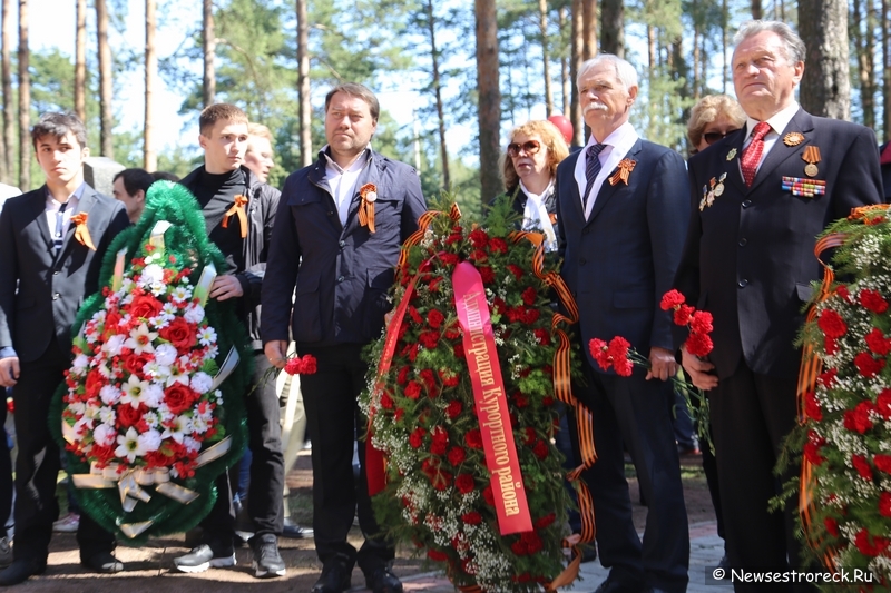 Как прошел праздник 9 мая 2015 в Сестрорецке Как прошел праздник 9 мая 2015 в Сестрорецке