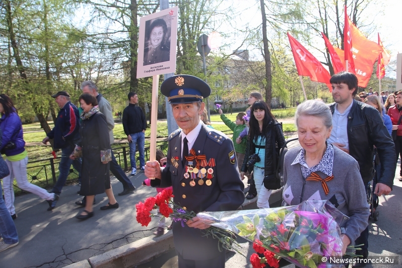 Как прошел праздник 9 мая 2015 в Сестрорецке Как прошел праздник 9 мая 2015 в Сестрорецке