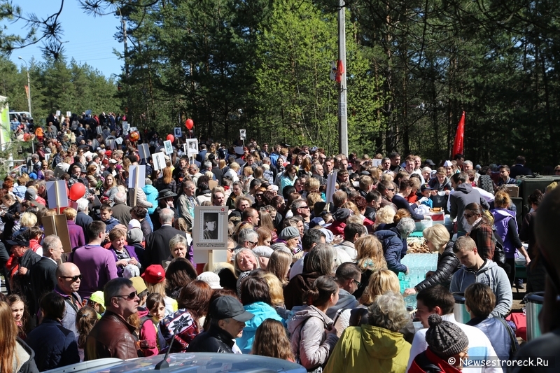 Как прошел праздник 9 мая 2015 в Сестрорецке