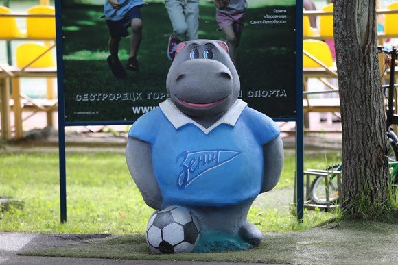 Воспитанники детских домов примут участие в международном турнире по футболу