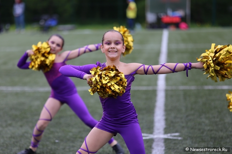 В Сестрорецке прошел открытый Кубок по черлидингу «CHEER OPEN - 2015» В Сестрорецке прошел открытый Кубок по черлидингу «CHEER OPEN - 2015»