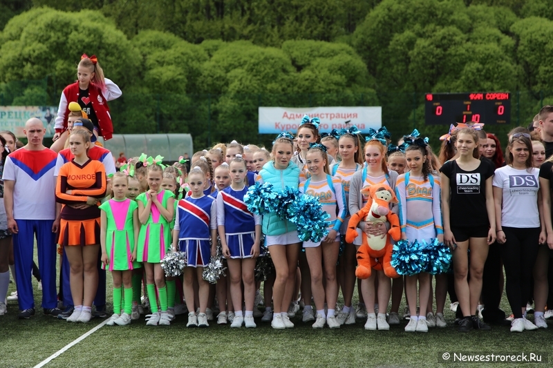 В Сестрорецке прошел открытый Кубок по черлидингу «CHEER OPEN - 2015» В Сестрорецке прошел открытый Кубок по черлидингу «CHEER OPEN - 2015»