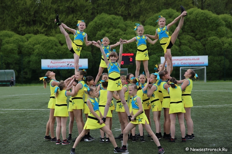 В Сестрорецке прошел открытый Кубок по черлидингу «CHEER OPEN - 2015»