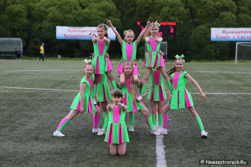 В Сестрорецке прошел открытый Кубок по черлидингу «CHEER OPEN - 2015» В Сестрорецке прошел открытый Кубок по черлидингу «CHEER OPEN - 2015»