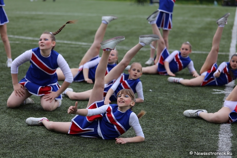 В Сестрорецке прошел открытый Кубок по черлидингу «CHEER OPEN - 2015» В Сестрорецке прошел открытый Кубок по черлидингу «CHEER OPEN - 2015»
