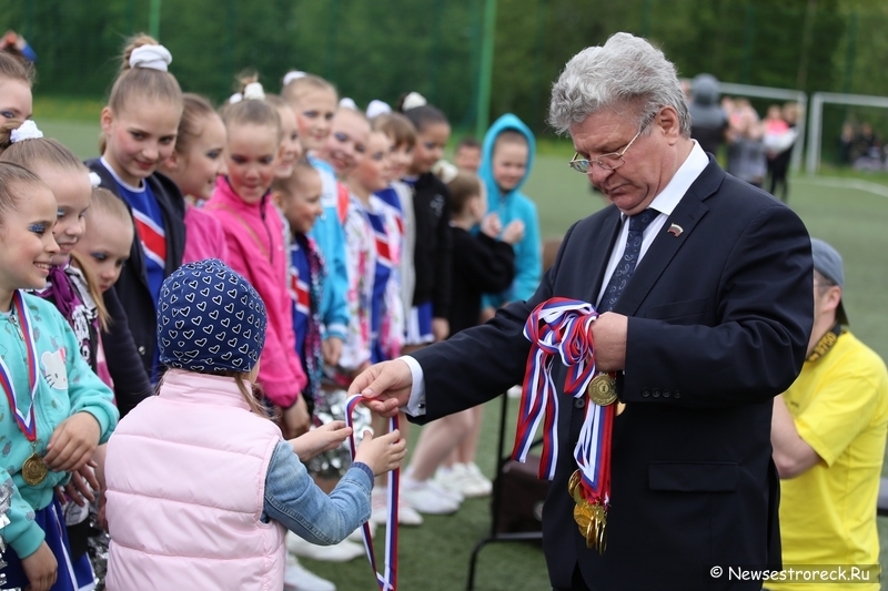 В Сестрорецке прошел открытый Кубок по черлидингу «CHEER OPEN - 2015»