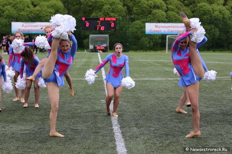 В Сестрорецке прошел открытый Кубок по черлидингу «CHEER OPEN - 2015» В Сестрорецке прошел открытый Кубок по черлидингу «CHEER OPEN - 2015»